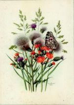 sign Gönner - Blumen Disteln und Schmetterling Schmetterling