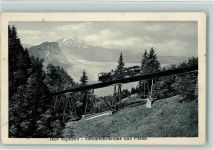 Rigibahn Rigibahn Schnurtobelbrücke und Pilatus Zahnradbahn