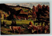 Nr. 384 Viehirte, Schwarzwaldhaus Schwarzwald Maler Künstlerkarte