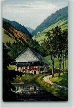 Schwarzwaldhaus Elchlepp Nr. 10 AK Schwarzwald Maler Künstlerkarte