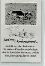 Gruß vom Nordseestrand und ein Gedicht vom Seehund ca 1960 AK Robbe