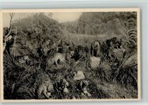 Galeries du Duc D Orleans - versch. Wildtiere Affe