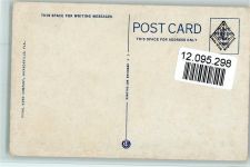 Trotting Ostrich - Jacksonville, Florida ca 1930 AK Tier