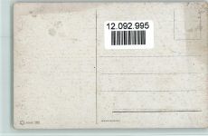 Serie 263 - Pfau mit Weibchen Schönian, A. Künstlerkarte