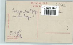 Volkstypen - Bulgarischer Schäfer mit seiner Herde ca 1925 Foto AK Schaf