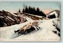 Une course en Bobsleigh - Bob-Rennen Bob 1926