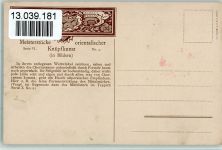 Serie VI Nr. 4 Meisterstücke orientalischer Knüpfkunst in Bildern AK Teppich