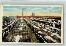 Ardmore - Cotton Baumwolle Compress, Baumwolle für den Transport, Fabrik