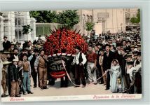 13150 Tarascon - Procession de la Tarasque - Religion Ereignis