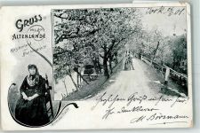 21635 W2155 Jork , Niederelbe 1901 Gebrauchsspuren Kirschenland zur Blütenpracht Baumblüte Altländer Tracht Ort lt. Stempel