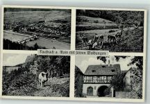 97906 W6981 Faulbach , Unterfr - Waldungen Wildschwein Hirsche Rehe