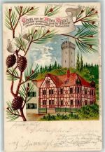 90513 W8502 Zirndorf , Mittelfr 1903 Lithographie Alte Veste Tannenzapfen
