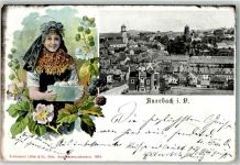 08209 O9700 Auerbach , Vogtl 1905 Lithographie Frau Tracht Blumen Kirche Turm Villa