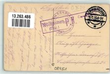 08451 O9630 Crimmitschau 1915 - Rathaus Fahne Schwarz-Weiß-Rot u. Grün Weiß Adler