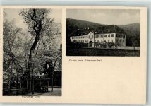98617 O6101 Grimmenthal Foto AK 1100 jährige Linde
