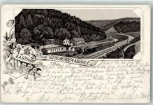 98559 O6054 Gehlberg 1898 Lithographie Vorläufer Gasthaus zur Gehlbergermühle