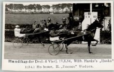 Wien 2. Bezirk, Leopoldstadt Handikap der Drei + Vierjähr. 19.8.1934 Trabrennen Foto AK