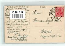 74924 W6924 Neckarbischofsheim 1921 Foto AK Kreishaushaltungsschule Garten