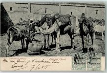 Tanger Tangiers 1905 Gebrauchsspuren Caravane en partance