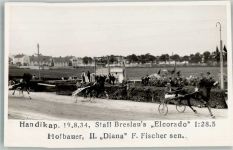 Wien 2. Bezirk, Leopoldstadt Handikap 19.8.1934 Stall Breslau Elcorado Trabrennen Foto AK