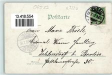04523 O7220 Pegau 1897 Lithographie Königsplatz Breit-Straße Stadt-Kirche Rathaus Promenade