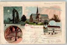 37445 W3425 Walkenried 1898 Lithographie Klosterruine Klosterkirche Kreuzgang Hotel Zum goldenen Löwen Bundeshotel für Radfahrer