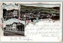 36381 W6490 Schlüchtern Lithographie Gasthaus zum deutschen Kaiser Bahnhof Kirche Blumen Gruss