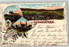 36381 W6490 Schlüchtern 1901 Lithographie Schloß Brandenstein Kgl. Seminar Rotkehlchen