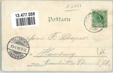 21789 W2177 Dobrock 1898 - Ottmar Zieher