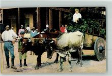 Puerto Limon - Hauling bananas to the flour mill