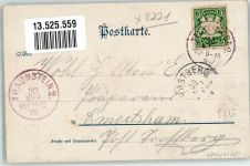 83317 W8221 Teisendorf 1899 Lithographie Gasthaus zur Post Aussichtsgarten