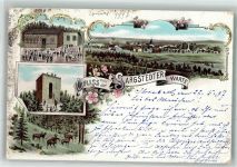38822 O3601 Sargstedt 1897 Lithographie Sargstedter Warte Aussichtsturm Wildwiese
