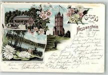 24321 W2322 Panker 1898 Gebrauchsspuren Lithographie Bahnpost Eutin Lütjenburg Zug 717 7.6.98 Turm a.d. Hessenstein