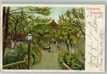 06869 O4522 Coswig , Anh 1902 Lithographie Gasthaus Schützenhof Hohe Mühle