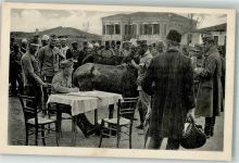 Shkodra Skutari Foto AK WK I Pferdeankauf Uniform