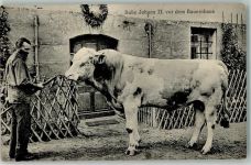 90592 W8501 Rummelsberg Foto AK Rummelsberger Anstalten Bulle Johann II. Bauernhaus Bauer