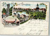 85560 W8017 Ebersberg , Oberbay 1899 Lithographie Kirche St. Sebastian Aussichtsturm Marktlatz Stadtwappen