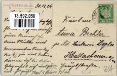 65719 W6238 Hofheim am Taunus 1924 Privatfoto AK Wohnhaus