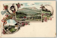 83313 W8227 Siegsdorf , Oberbay Lithographie Maria Eck Gemse Hochfelln Brünnling-Alm