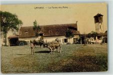24130 La Force 1907 - la Ferme des Asiles Kühe