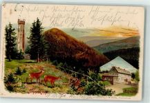 98559 O6054 Gehlberg 1900 Gebrauchsspuren Lithographie Schneekopf Schneekopfturm Schmücke Reh
