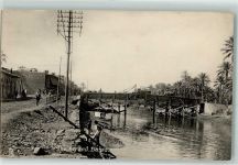 Basra - The Strand Palmen Volkstypen