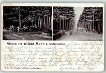 99706 O5400 Sondershausen , Thür 1903 - Schutzhütte Wilder Mann