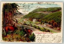 98559 O6054 Gehlberg 1902 Lithographie Gehlberger Mühle im Geratal Hirsch