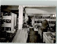 59846 W5768 Sundern Sauerland FOTO KEINE AK Fabrik Brumberg Ort handschriftlich