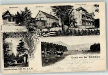 98559 O6054 Schmücke - Speisesaal Gasthaus Pensionshaus Schneekopfturm Kühe
