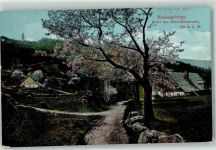 Kiesewald Michalowice 1911 - Riesengebirge Unter Kiesewald