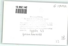 Oppeln Opole Privatfoto KEINE AK