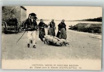 29470 Plougastel-Daoulas 1926 Foto AK Tracht Schweine Bretanie