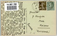 29470 Plougastel-Daoulas 1926 Foto AK Tracht Schweine Bretanie